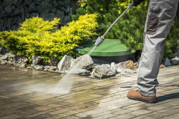 Best House Exterior Washing  in Williston Highlands, FL
