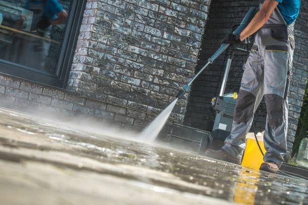 Best Roof Washing  in Williston Highlands, FL