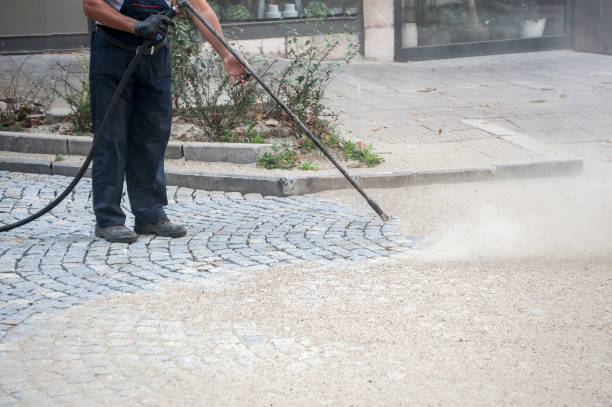 Best Pre-Holiday Cleaning  in Williston Highlands, FL