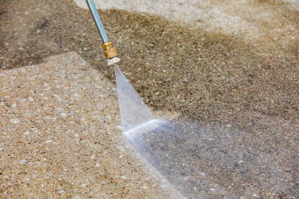 Best Boat and Dock Cleaning  in Williston Highlands, FL