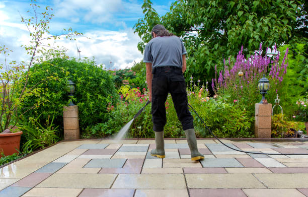 Best Restaurant Pressure Washing  in Williston Highlands, FL