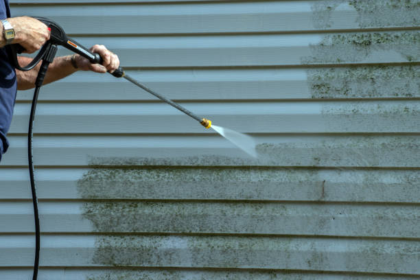 Professional Pressure Washing in Williston Highlands, FL